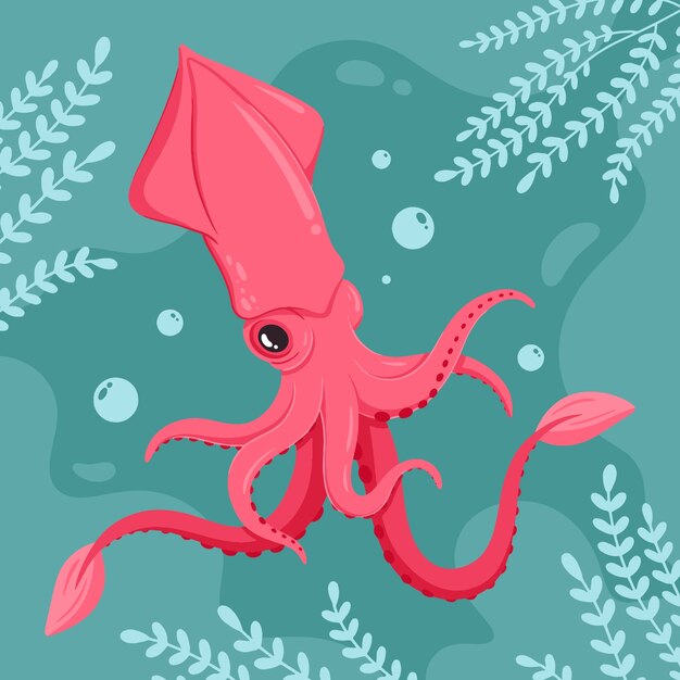 Hand drawn squid illustration