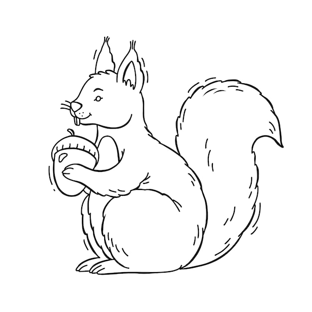 Hand drawn squirrel  outline illustration