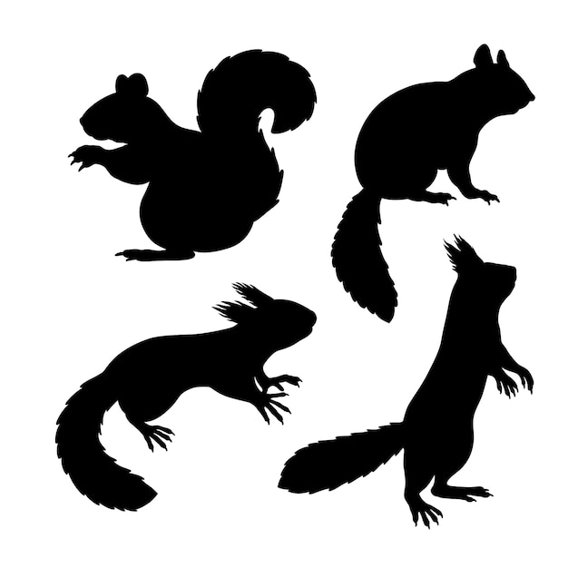 Free vector hand drawn squirrel silhouette