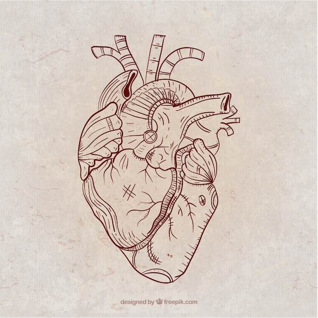 Free vector hand drawn steampunk heart