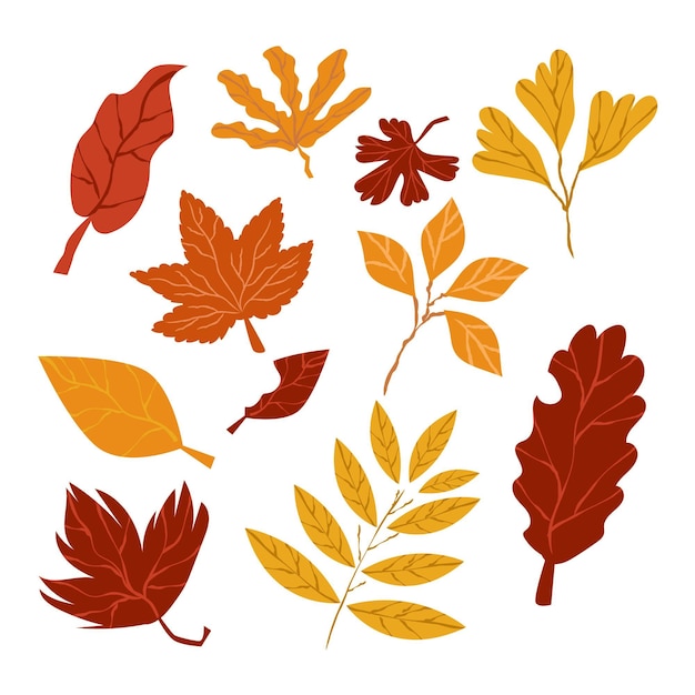 Hand drawn style autumn leaves collection