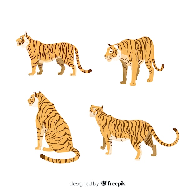 Hand drawn style tiger collection