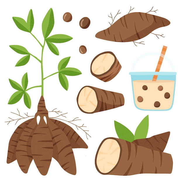 Free Vector hand drawn tapioca concept