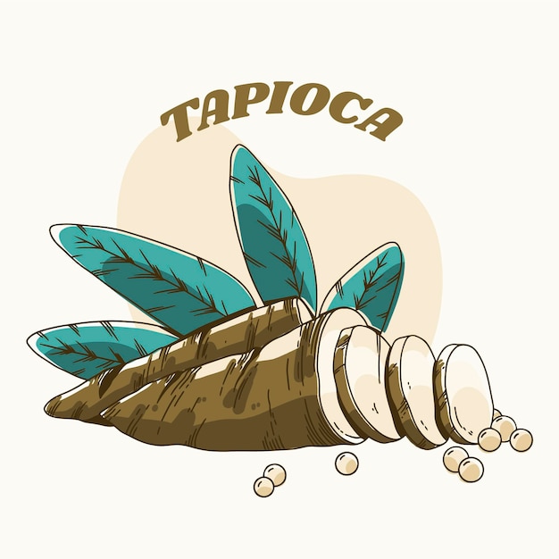 Free Vector hand drawn tapioca illustration