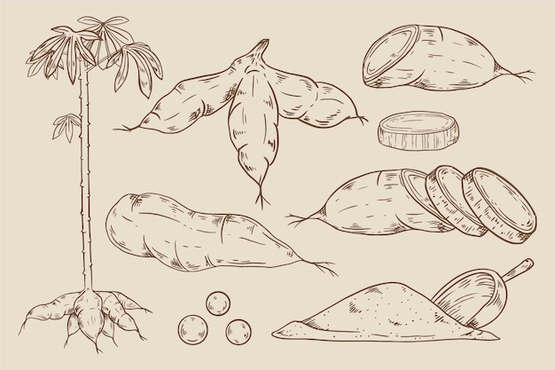 Free Vector hand drawn tapioca set