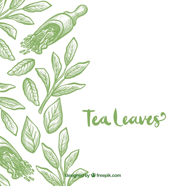 Free Vector hand drawn tea leaves background