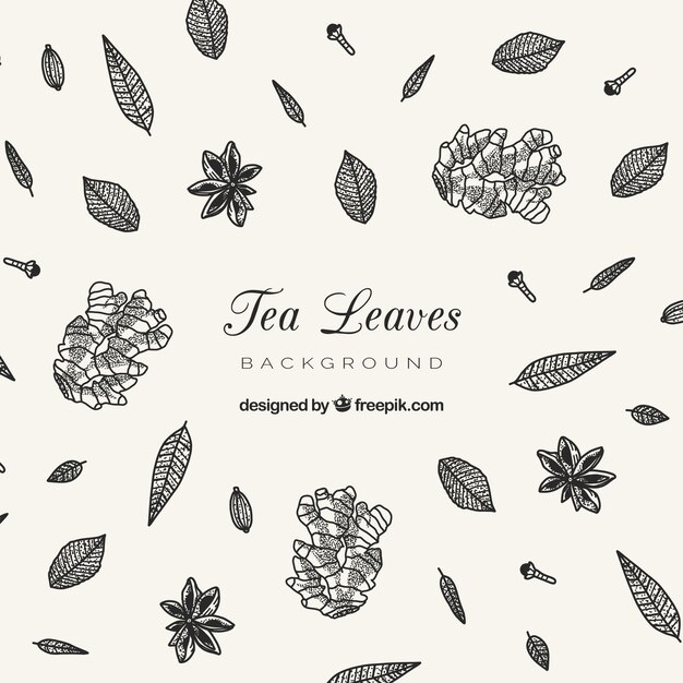 Hand drawn tea leaves background