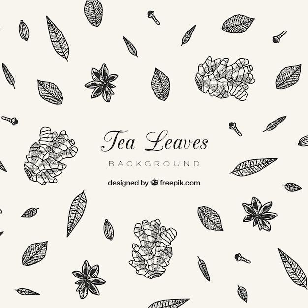 Hand drawn tea leaves background