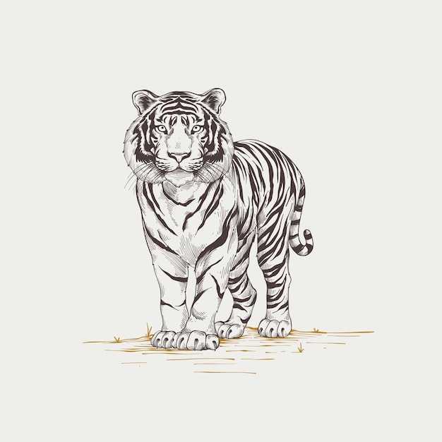 Free Vector hand drawn tiger outline illustration