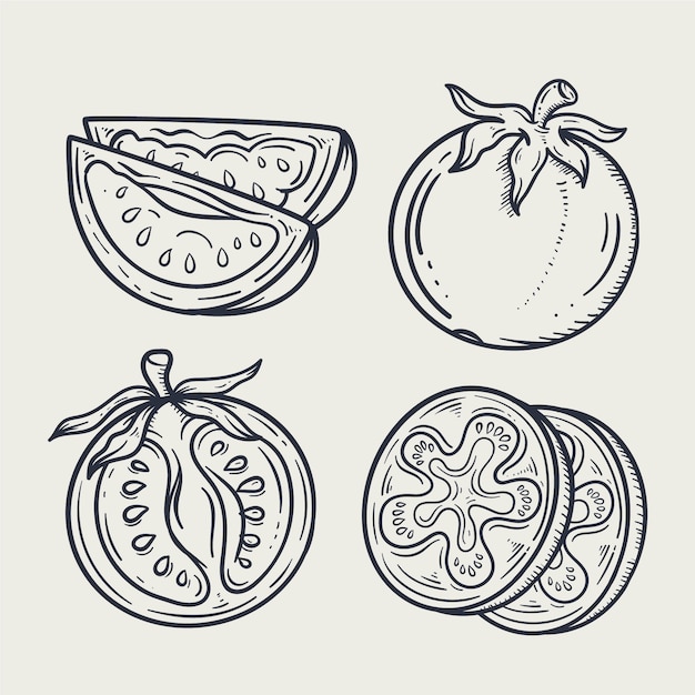 Free Vector hand drawn tomato  outline illustration