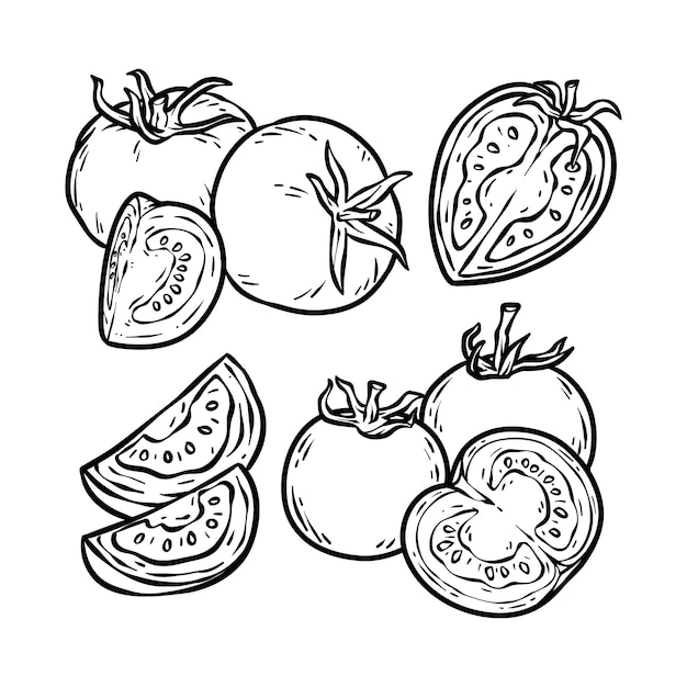 Hand drawn tomato outline illustration