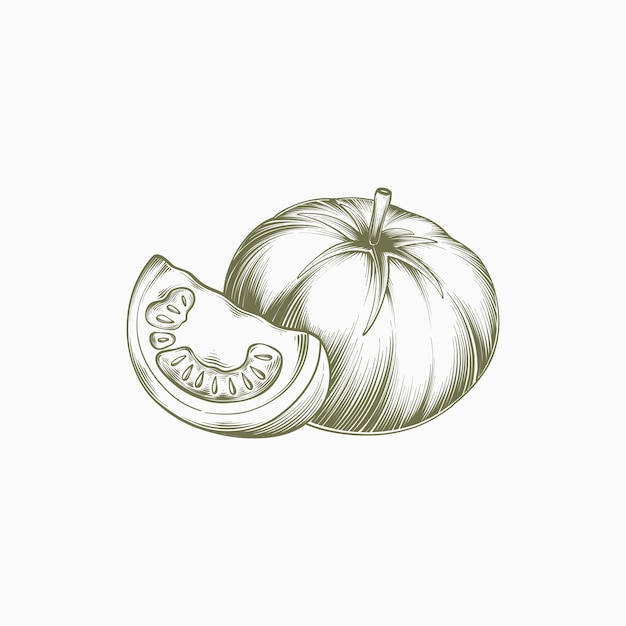 Free Vector hand drawn tomato outline illustration