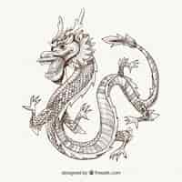 Free vector hand drawn traditional chinese dragon