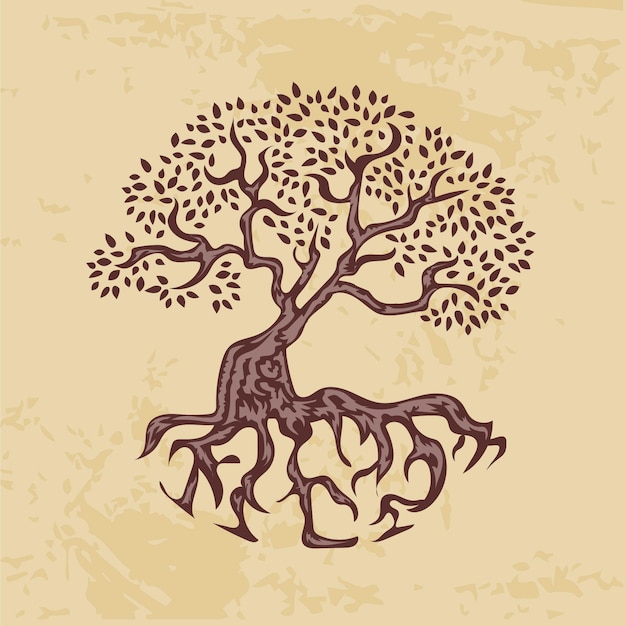 Free Vector hand drawn tree life