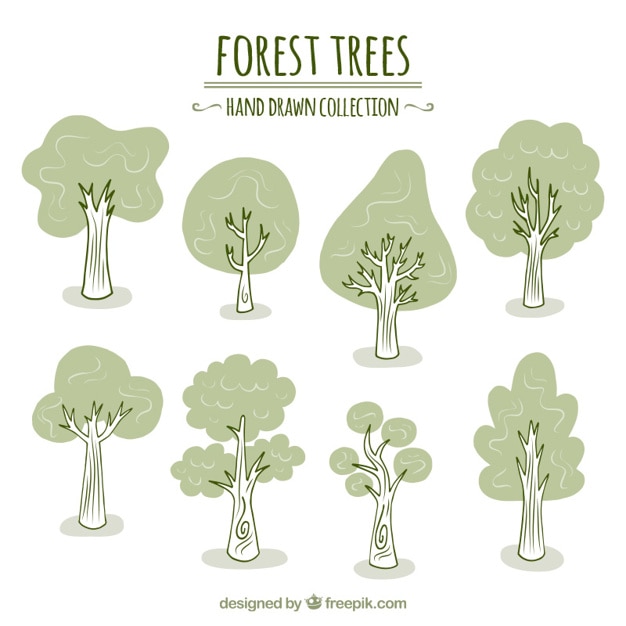 Hand drawn trees in green tones