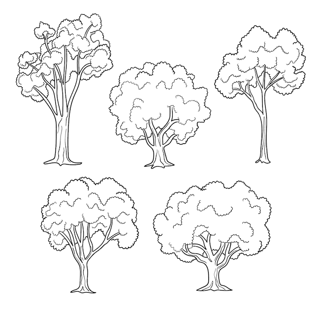 Hand drawn trees  outline illustration