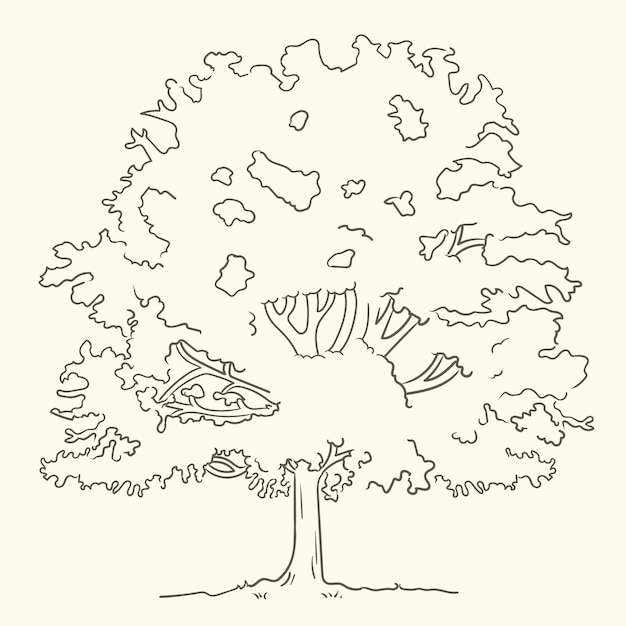 Free vector hand drawn trees  outline illustration