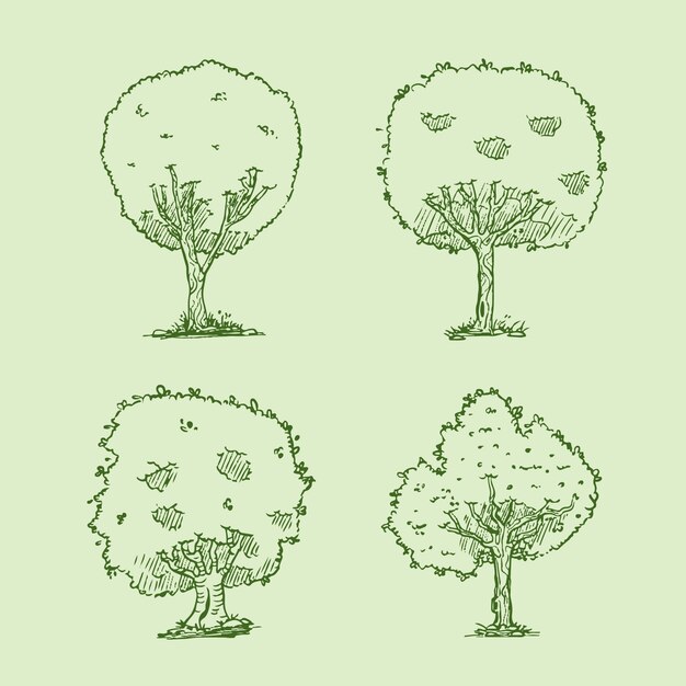 Hand drawn trees outline illustration