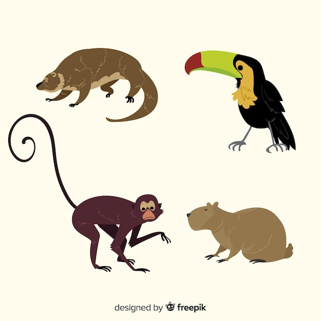 Free Vector hand drawn tropical animal collection