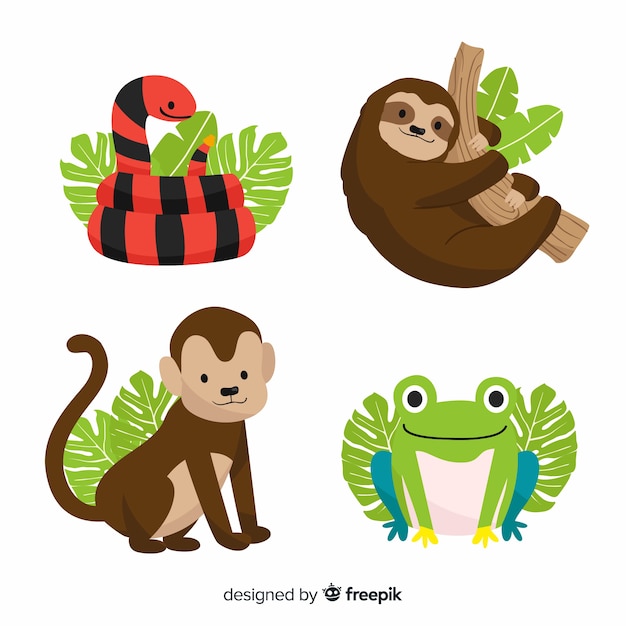 Free Vector hand drawn tropical animal collection