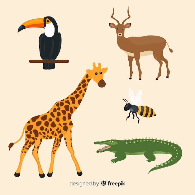 Free Vector hand drawn tropical animal collection