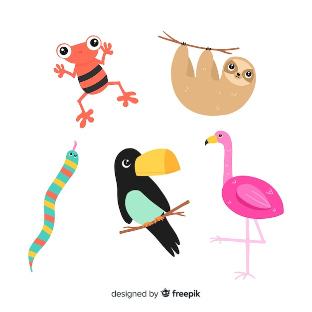 Hand drawn tropical animal collection