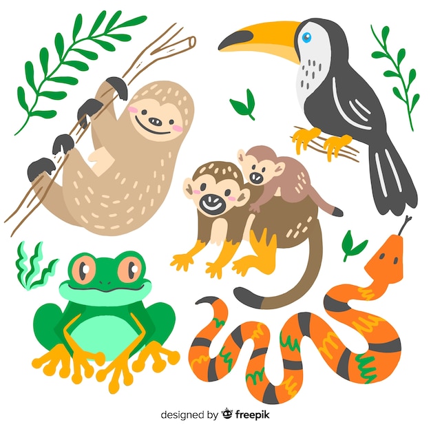 Free vector hand drawn tropical animal collection