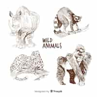 Free vector hand drawn tropical animal collection