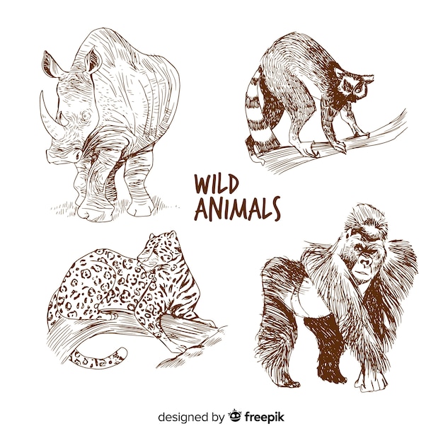 Hand drawn tropical animal collection