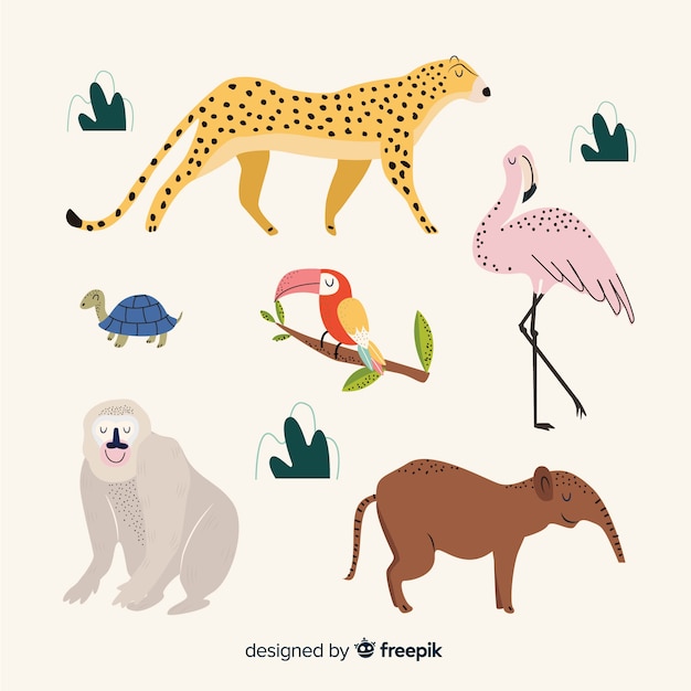 Hand drawn tropical animal collection