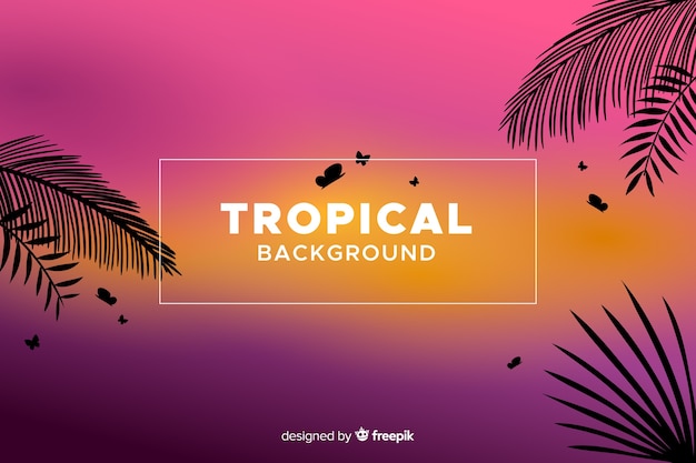 Free Vector hand drawn tropical background