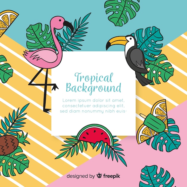 Free Vector hand drawn tropical background