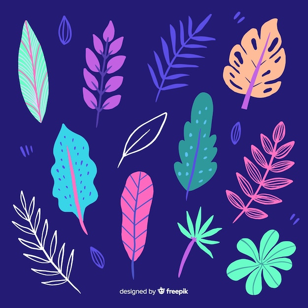 Hand drawn tropical colorful leaves collection