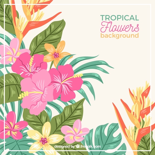 Hand drawn tropical flower background