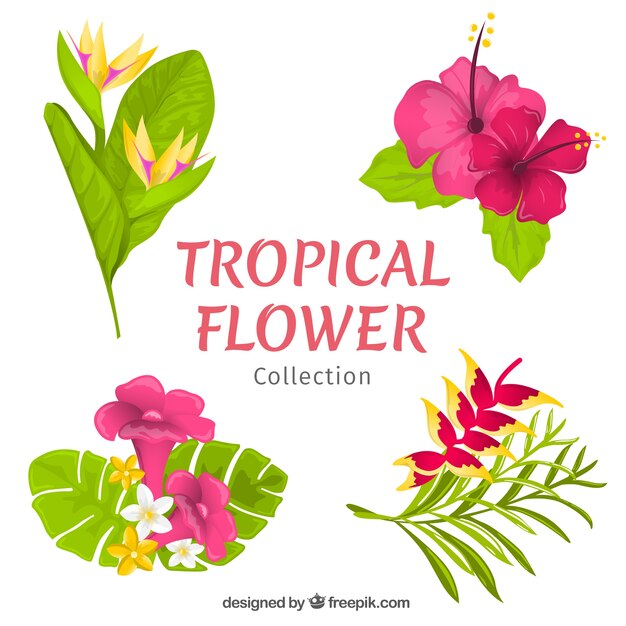 Hand drawn tropical flower pack