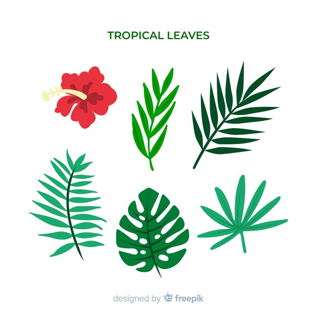 Hand drawn tropical flowers and leaves pack