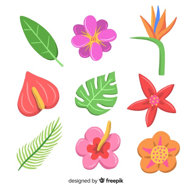 Hand drawn tropical flowers and leaves