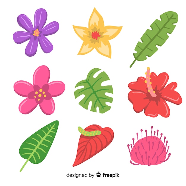 Hand drawn tropical flowers and leaves