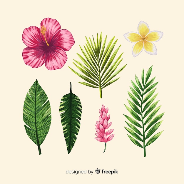 Hand drawn tropical flowers and leaves