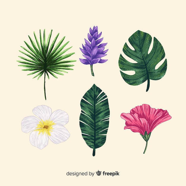 Free Vector hand drawn tropical flowers and leaves