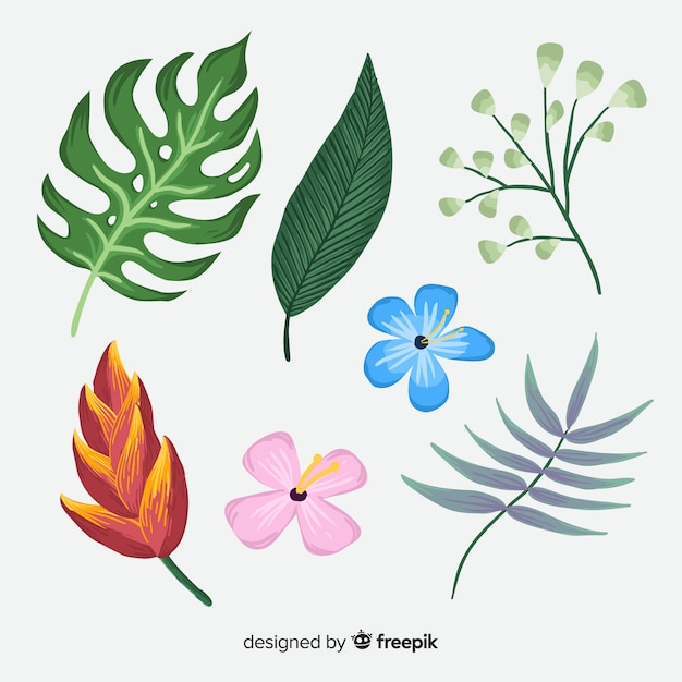 Hand drawn tropical flowers and leaves