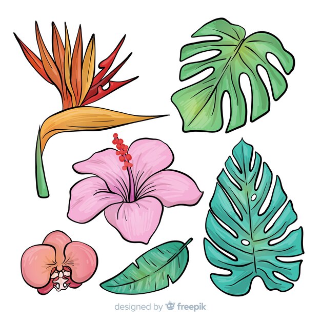 Hand drawn tropical flowers and leaves