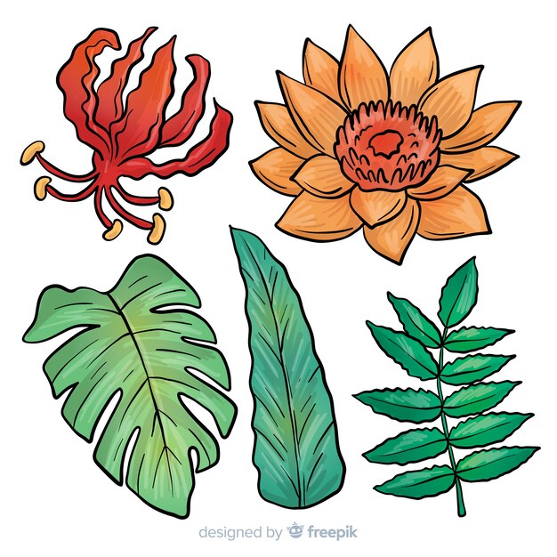 Hand drawn tropical flowers and leaves