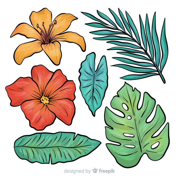 Hand drawn tropical flowers and leaves