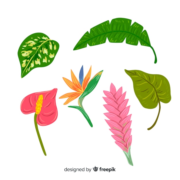 Hand drawn tropical flowers and leaves