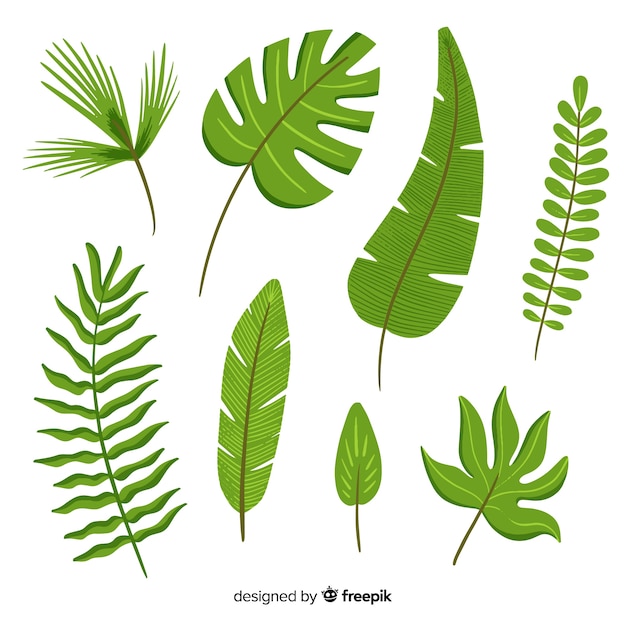 Free vector hand drawn tropical flowers and leaves