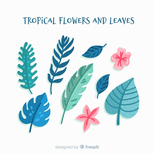 Hand drawn tropical flowers and leaves