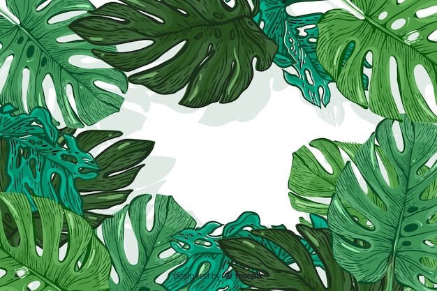 Free Vector hand drawn tropical leaves background