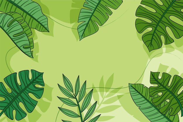 Hand drawn tropical leaves background