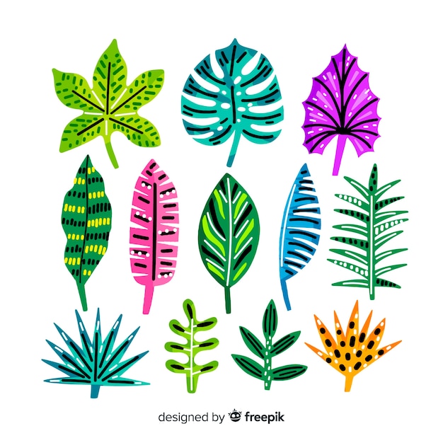 Free Vector hand drawn tropical leaves collection